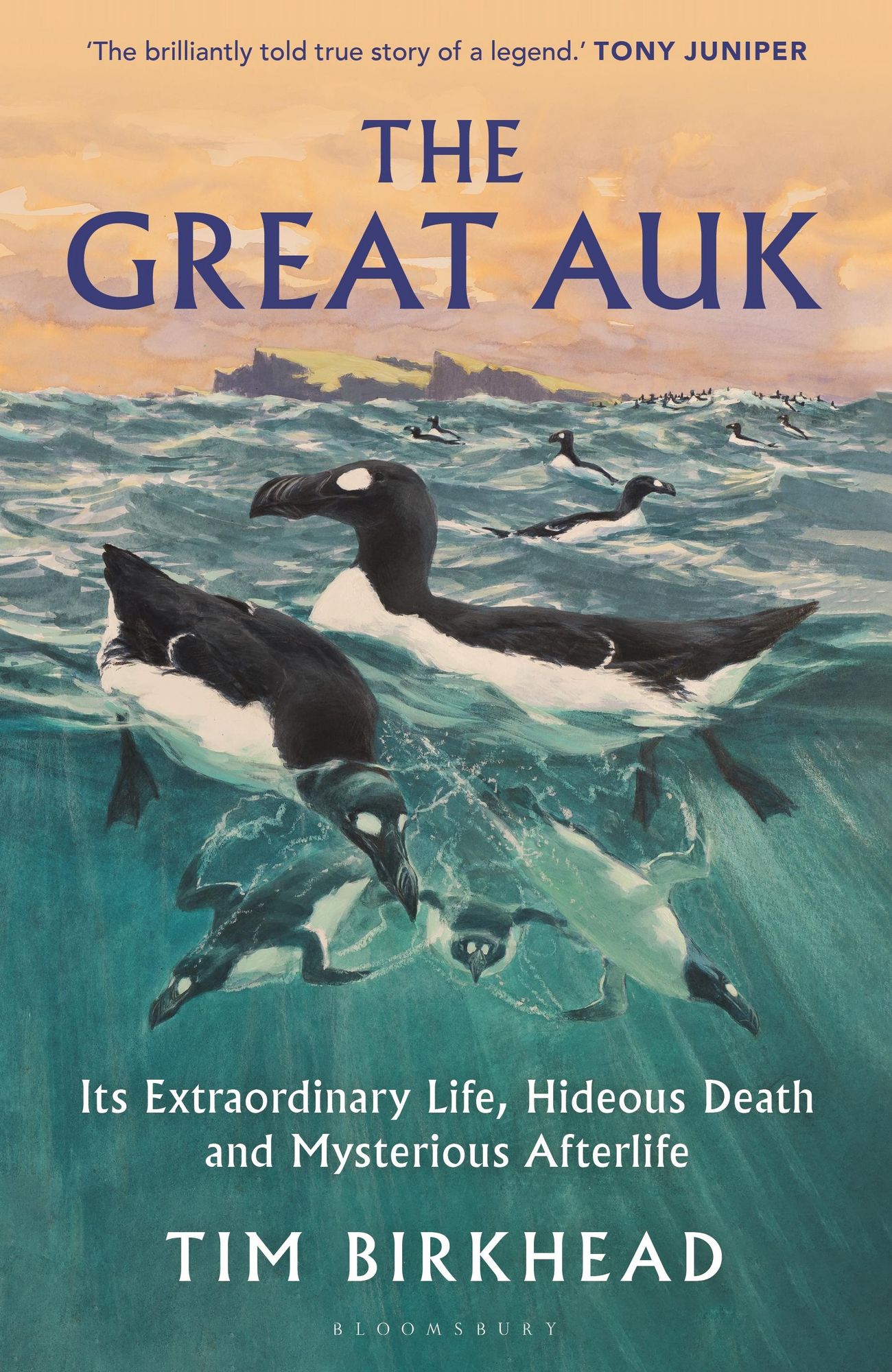 Tim Birkhead: The Great Auk (Hardcover, 2025, Bloomsbury Publishing Plc)