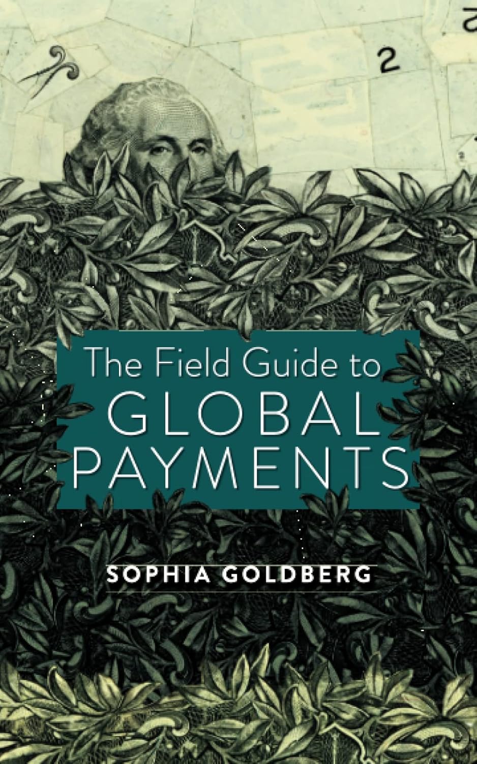 The Field Guide to Global Payments (Sophia Goldberg)