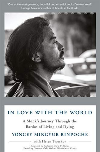 Yongey Mingyur Rinpoche: In Love with the World (Paperback, 2019, Bluebird)