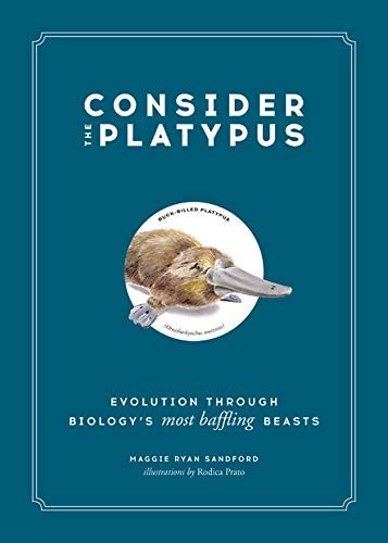 Maggie Ryan Sandford, Rodica Prato: Consider the Platypus (Paperback, 2019, Black Dog & Leventhal)