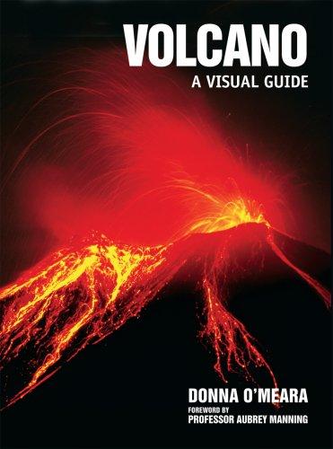Donna O'Meara: Volcano (Paperback, 2007, Firefly Books)
