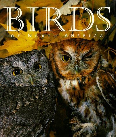 Noel Grove: Birds of North America (Hardcover, 1996, Hugh Lauter Levin Associates)