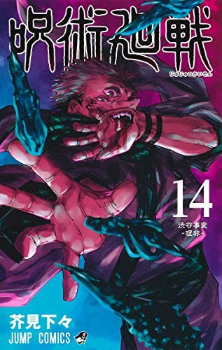 Ryomen Sukune: 呪術廻戦 14 (GraphicNovel, RTULOR)