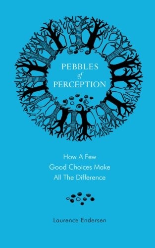 Laurence Endersen: Pebbles of Perception (Paperback, 2014, CreateSpace Independent Publishing Platform, Createspace Independent Publishing Platform)