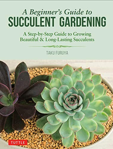 Taku Furuya: A Beginner's Guide to Succulent Gardening (Paperback, Tuttle Publishing)