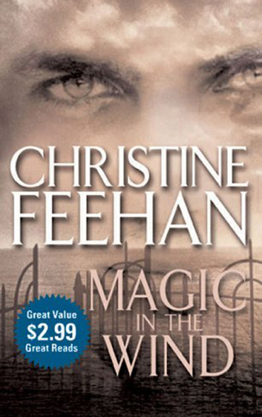 Christine Feehan: Magic in the Wind (2013, Little, Brown Book Group Limited)