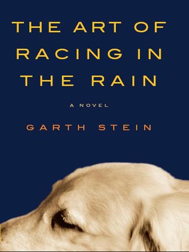 Garth Stein: The Art of Racing in the Rain (EBook, 2008, HarperCollins)