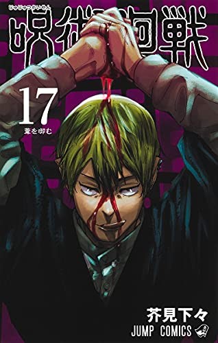 Ryomen Sukune: 呪術廻戦 17 (GraphicNovel, RTULOR)