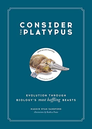 Maggie Ryan Sandford, Rodica Prato: Consider the Platypus (2019, Black Dog & Leventhal)