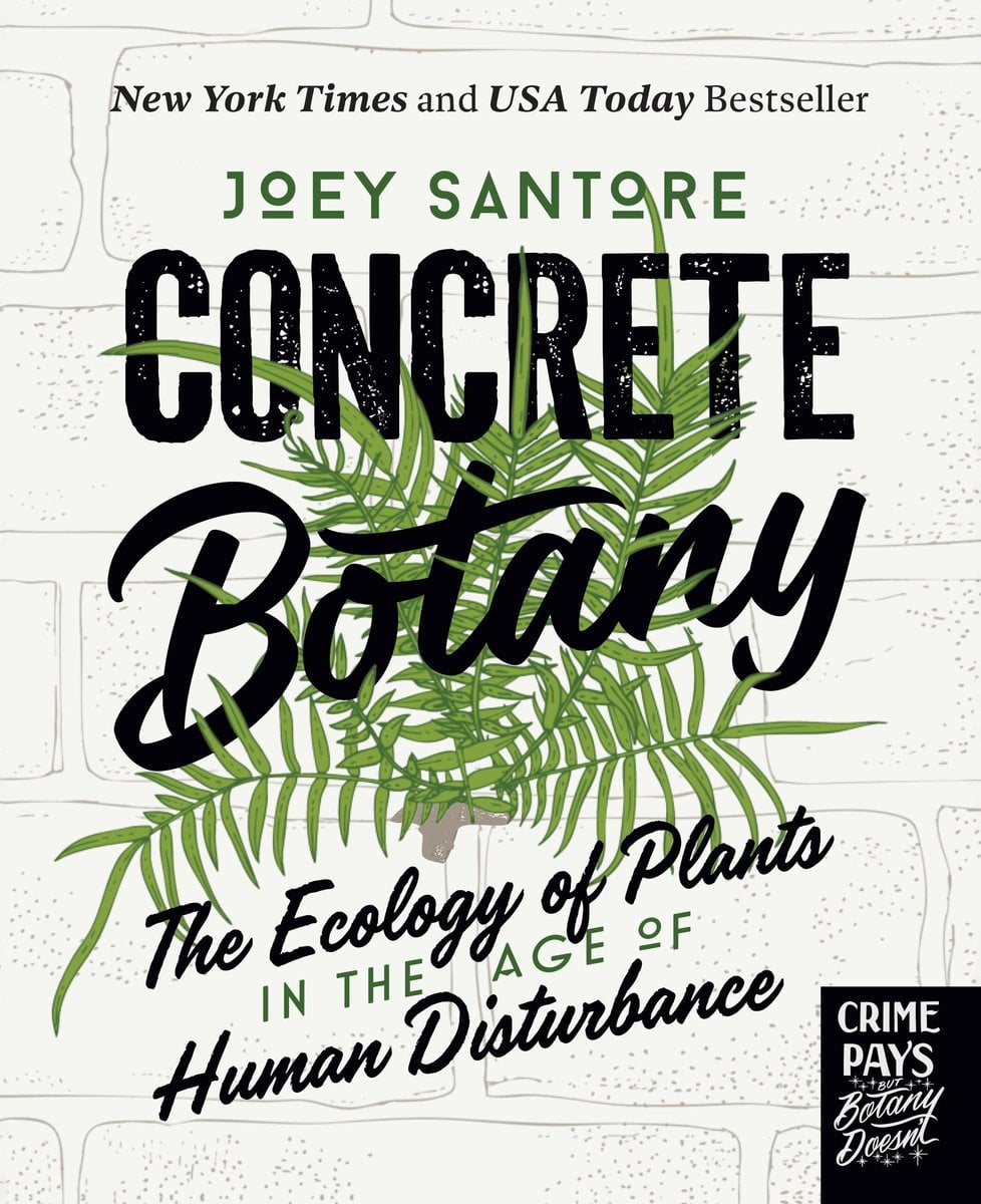 Joey Santore: Concrete Botany