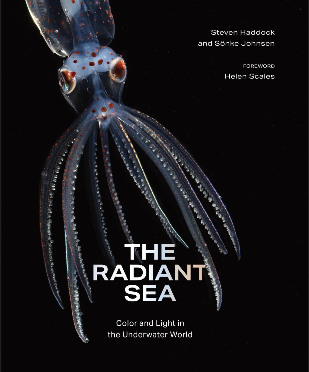Steven Haddock, Sönke Johnsen, Helen Scales: Radiant Sea (2025, Abrams, Inc.)