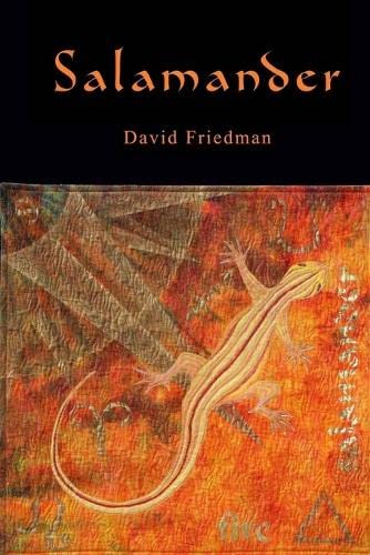 Friedman, David: Salamander (Paperback, 2015)